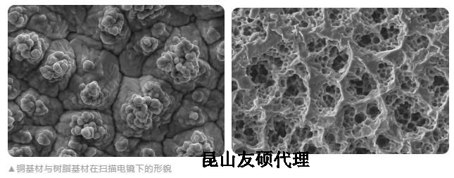 玉林蔡司玉林扫描电镜